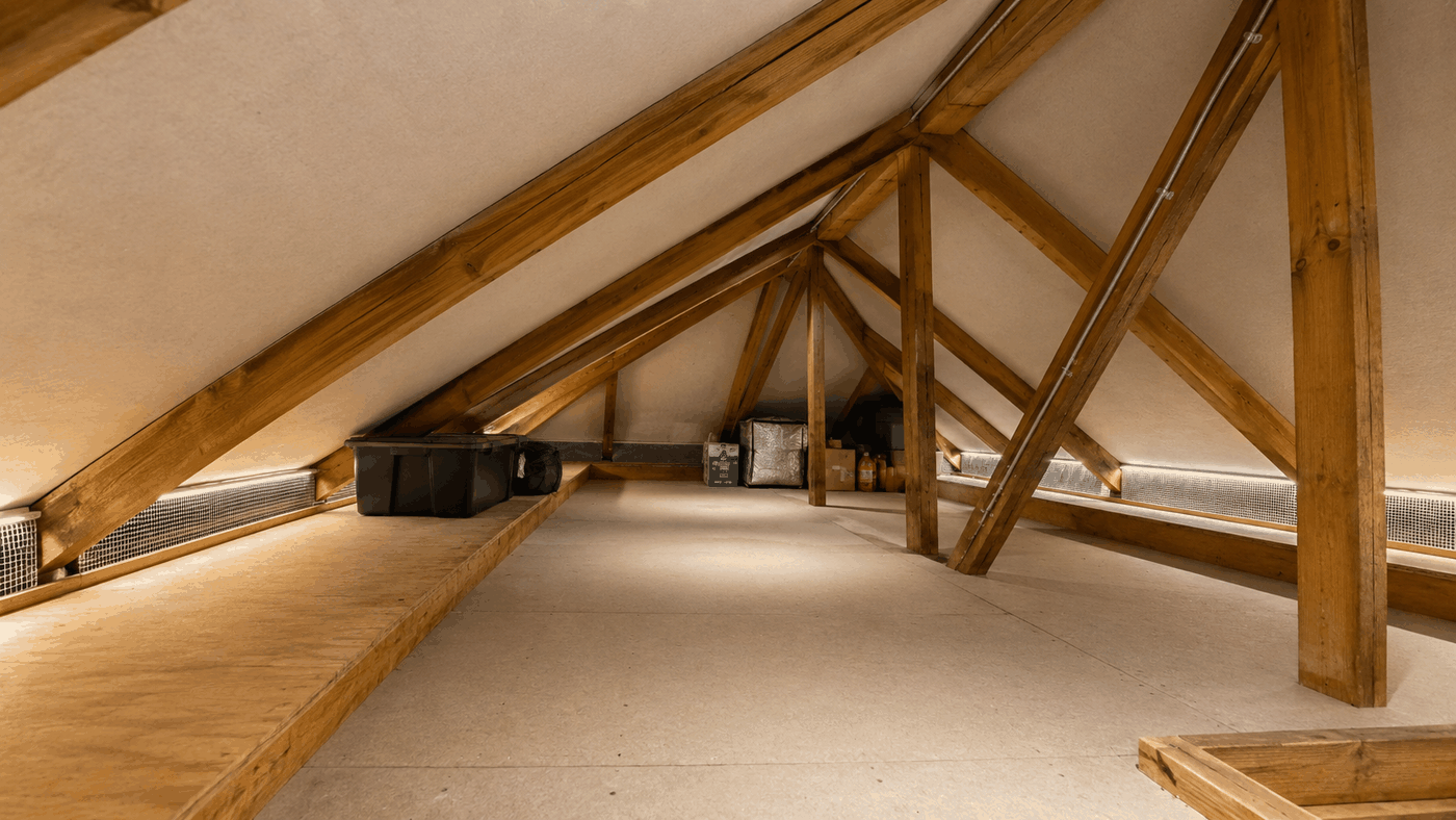 Rodent Proofing in London